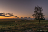 Åhus Äspet early morning