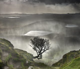 A light highland Shower