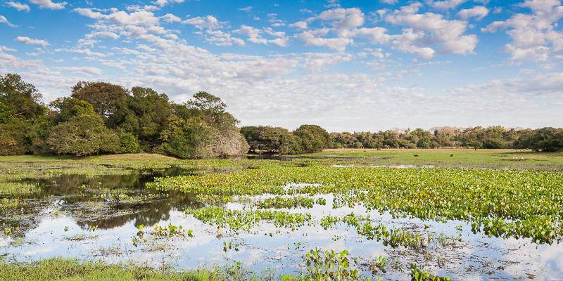 View across the 'Vazante do Castelo' floodplain