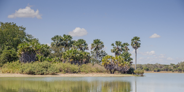 View across Lake Nzerakera