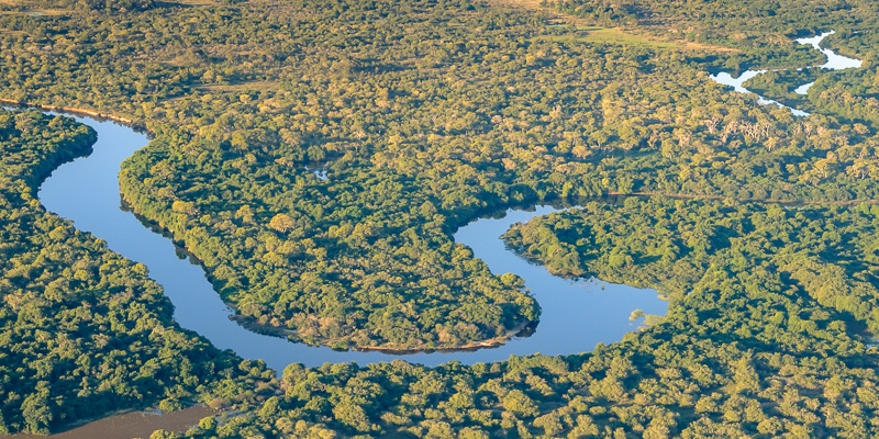 Surrounded by lush forests a river gently twists and turns across the Pantanal landscape