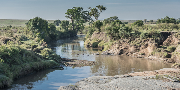 Tributary of the Mara River
