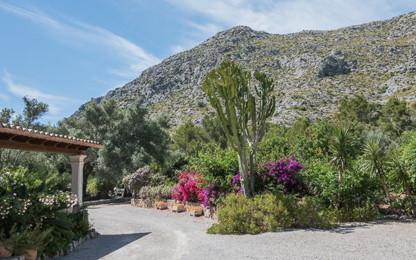 Mountain view from our villa