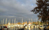 boats