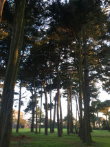 The view from our new space!