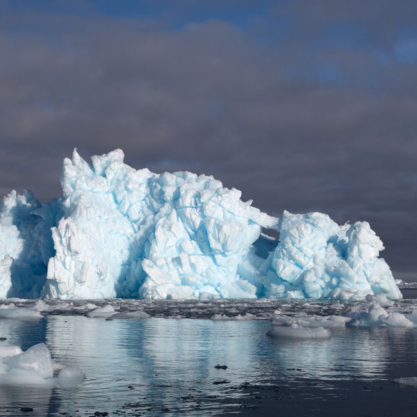 Iceberg