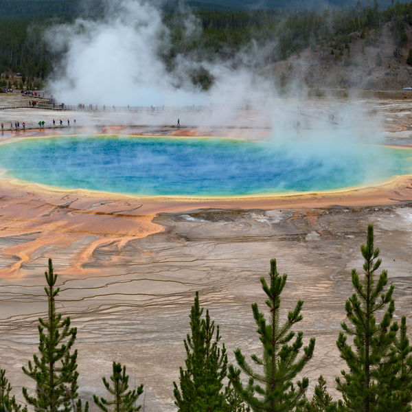 The Grand Prismatic Spring, Yellowstone