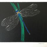 Dragonfly. Gouache 24 x 15cm Sold