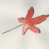 Leaf 3. 27 x 17cm, Framed, £70