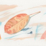 Autumn leaf 1. 21 x 14cm, Framed, £40