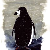 Chinstrap Penguin. 21 x 31cm