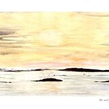 Chinstrap and Gathering Storm. 23 x 31cm