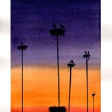 Storks in Extremaduria. (after Stephen Wilkes). 18 x 26cm, Sold