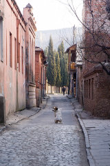 The boss of the district, Tbilisi