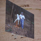 The  third displacement