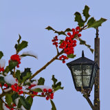 Christmas Lantern