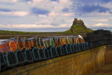 Holy Island