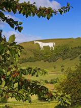 Westbury White Horse