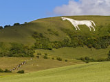 Westbury White Horse