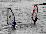 Windsurfers