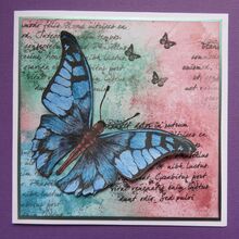 2046-Large Butterfly