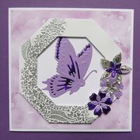 2008-Butterfly 2