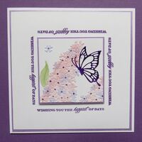 2016-Buddleia