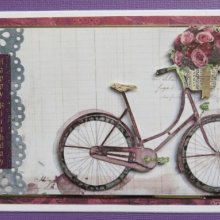 Bicycle 2