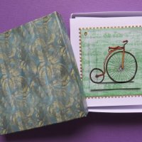 Bicycle Mode Box Set