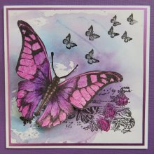 Butterfly 3