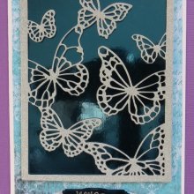 Butterfly 4