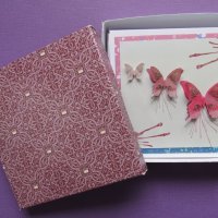 Butterfly Trio Box Set