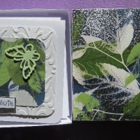 Butterfly Just a Note Box Set