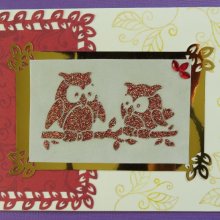 Owl 1