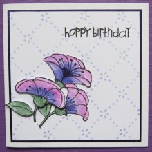 Purple & Pink Flowers