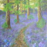 Bluebell Woods