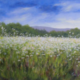 Daisy Field - SOLD