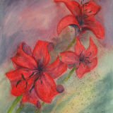 Lillies - SOLD