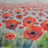 Poppies - SOLD