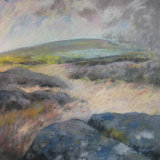 Storm Brewing, Dartmoor  SOLD