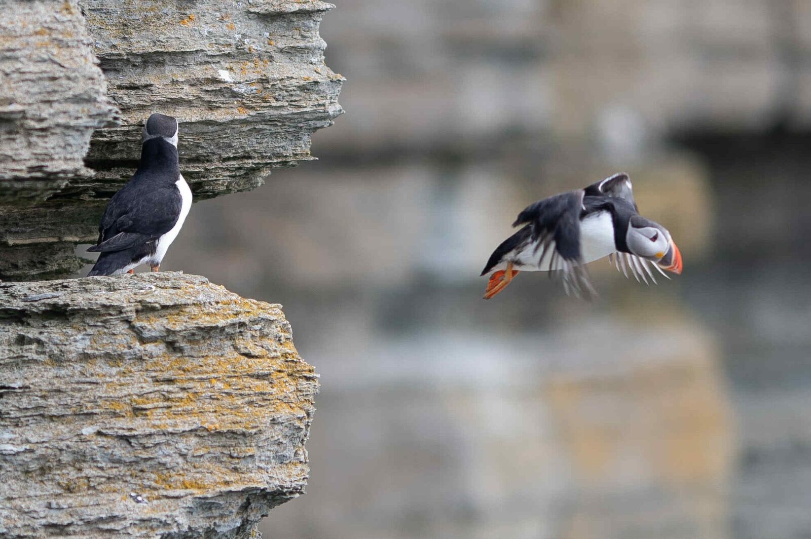 att.33TI3kNcVdB3nTFOFhxt2dnST-cxfEOkNwj1NW893GU