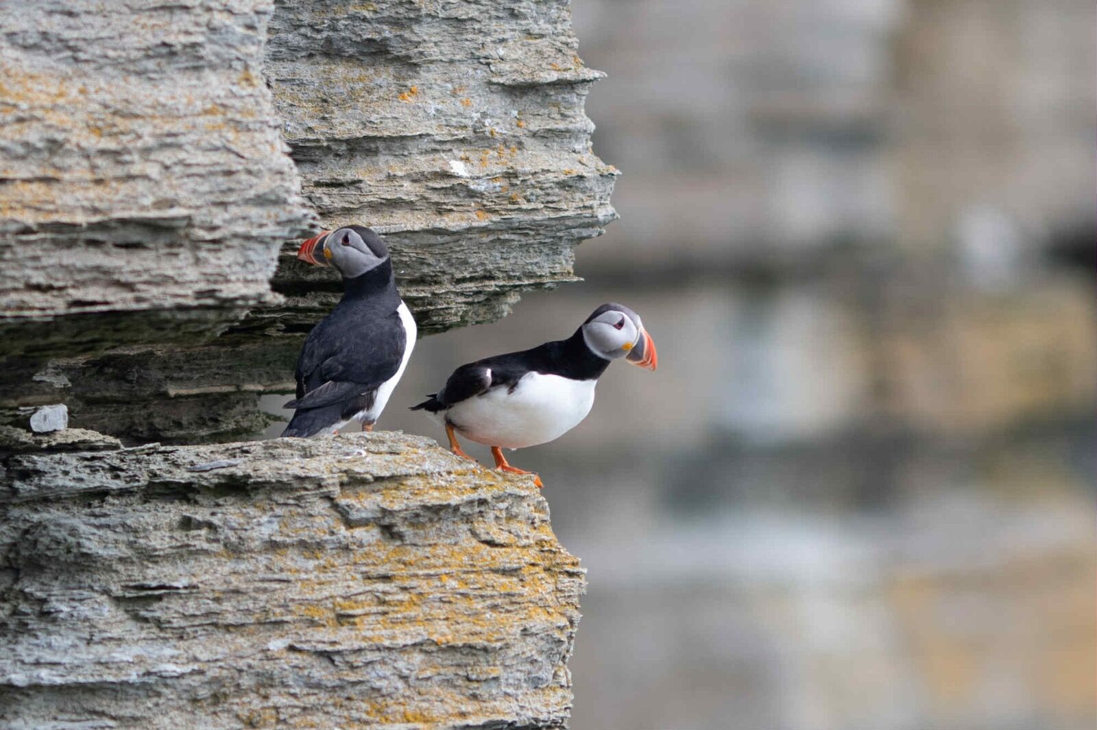 att.5IHOaSz9pKFvc9yvHcOFSXl9klu5GtcZkmcE95BZufQ