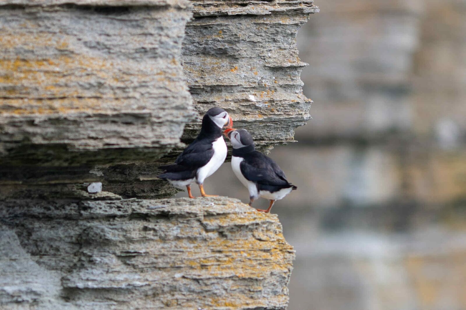 att.7Y2CzJgawUxbHK6I8FEuQIaRfFnsi0eVVvyjZlAyYFQ