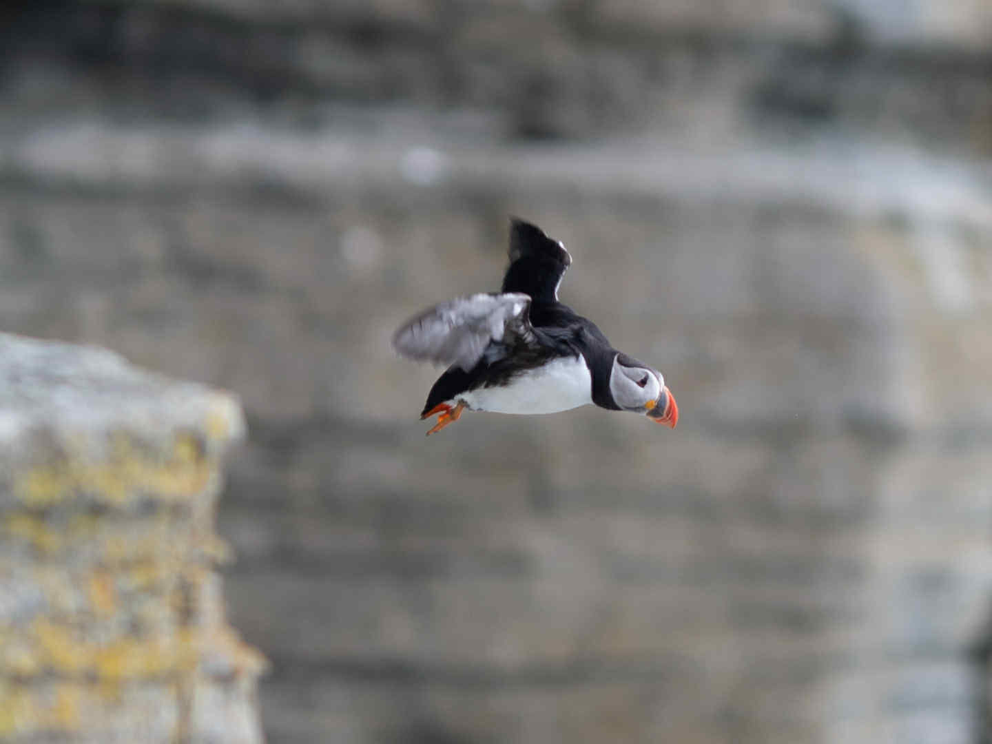 att.A 41grxoMlVVKeyeq7wJCY149V2Uwg3-Kg44sdUE4TY