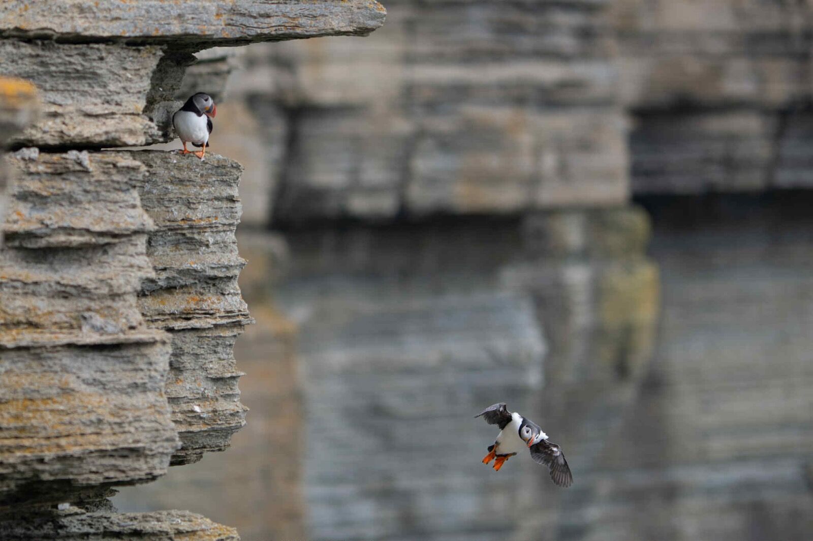 att.DbEzTW zHsZIQk0NnPedQt0C8KdP51GoQK kV -dhcc