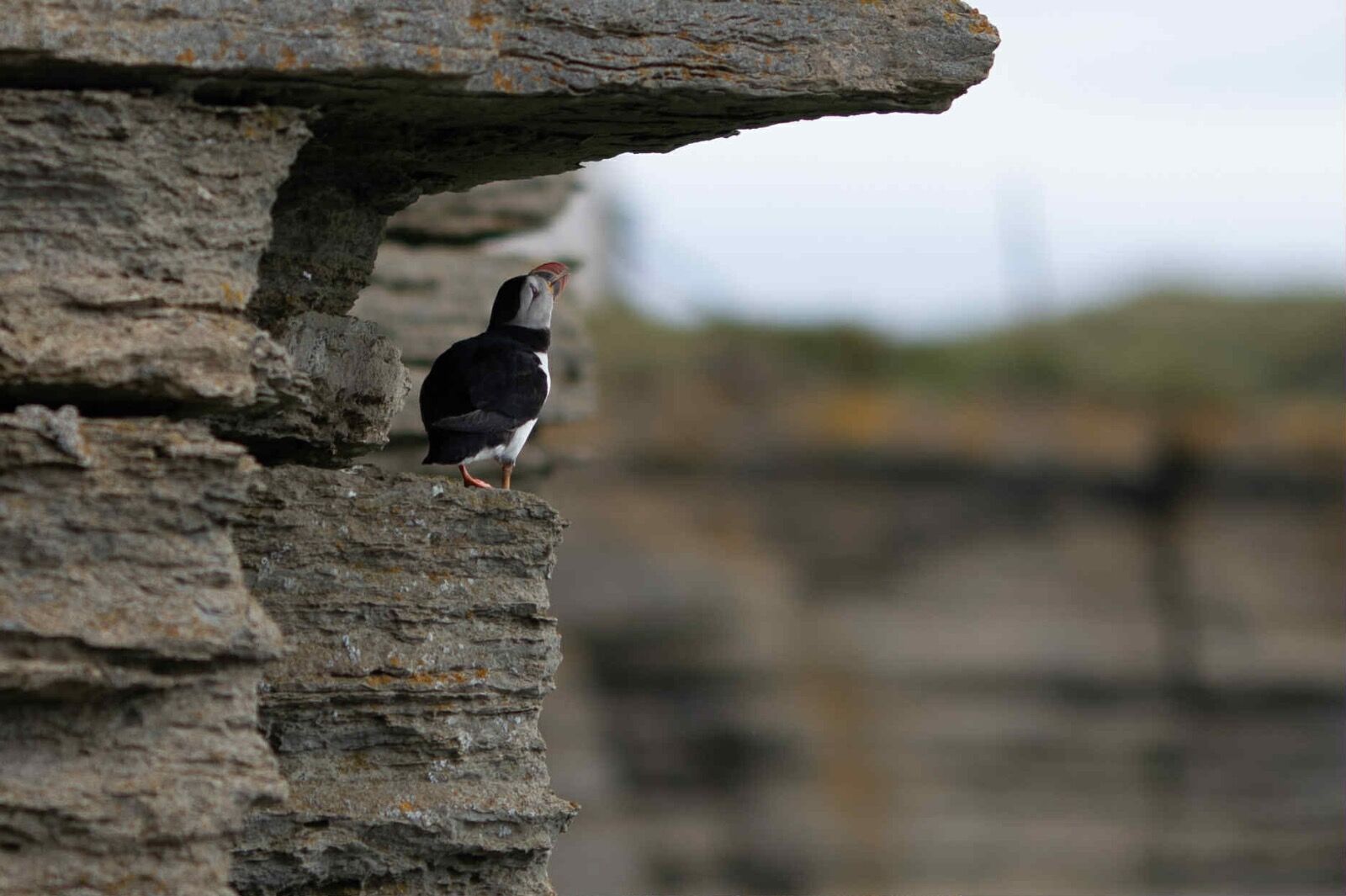 att.EdkDMlgxw5Lf9N1azRP-TvK8Q3BGZaVKrewTwD WZmM