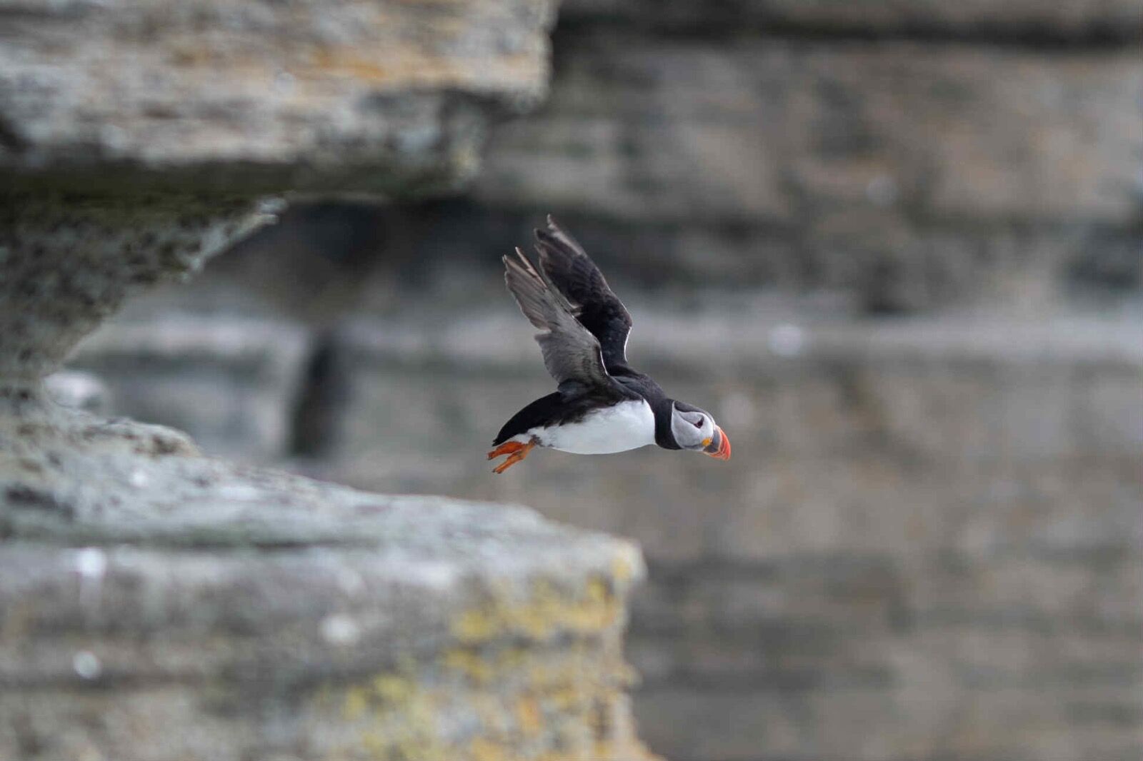 att.N5-Z8hb7triLzkNSjSQHPj2J13cx2Q9JAxpIutWqB s