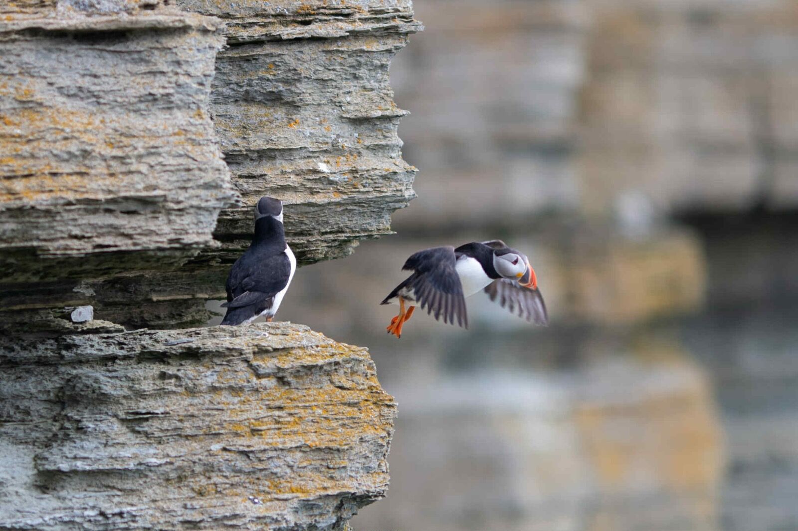 att.RnL3dhxCVcR4190bLH9jDAcPKJfRHjOWGwdItAq8KG8