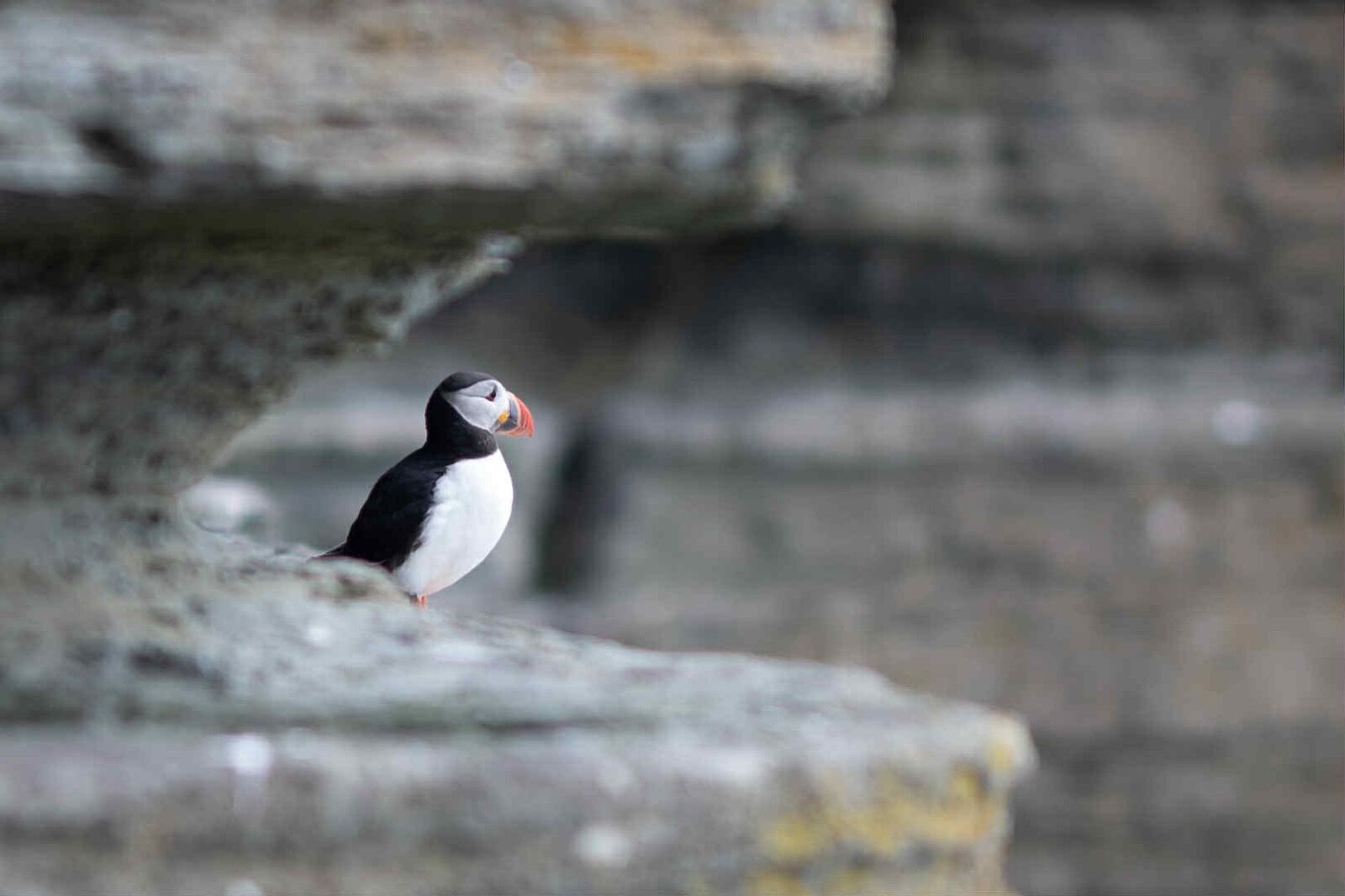 att.UXNe-xvTNSNFXiLSKvm41kxgqcEf0NW3FSaiT2hthVQ