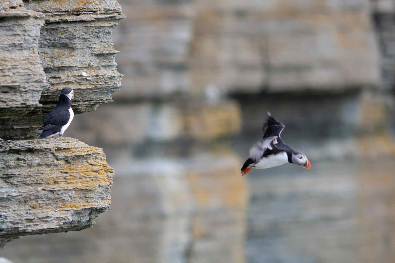 att.hIfbuuComAvm2UIBD9JavnKYwz2gpNmlSMxm1P9pBB0